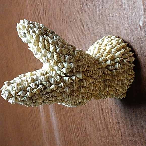 Seashell Easter Bunny Rabbit - Picture 3 of 7